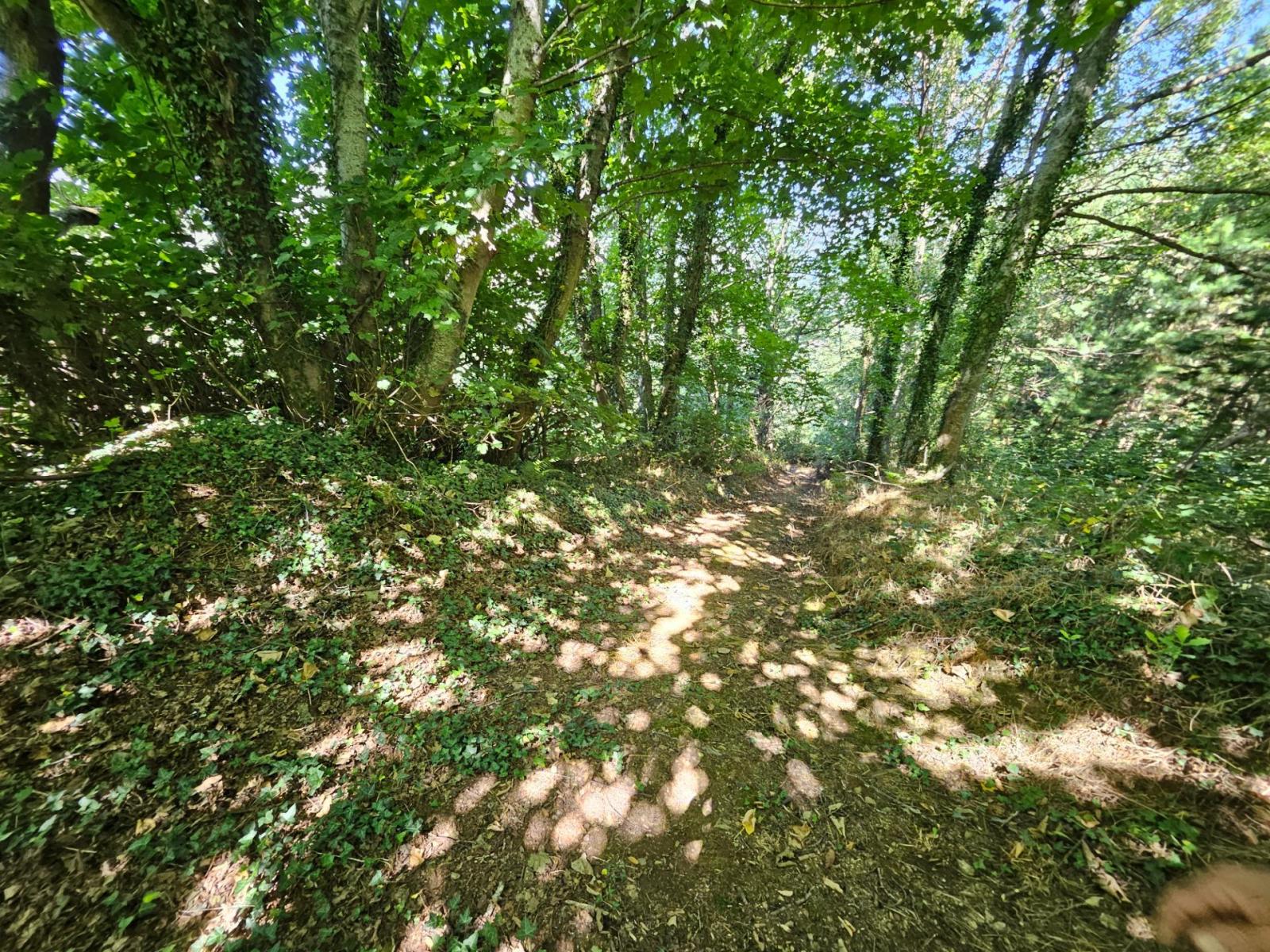 Finca en Venta en Allande