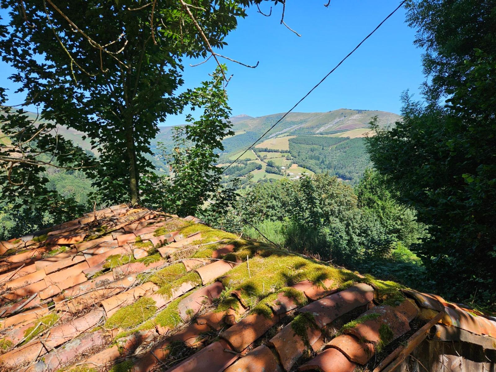 Finca en Venta en Allande