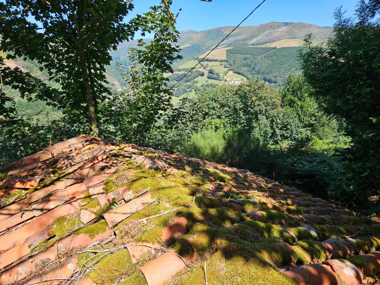 Finca en Venta en Allande