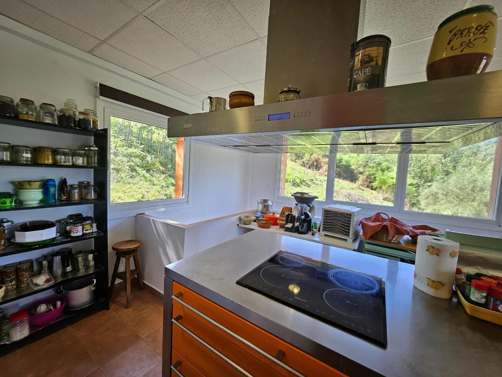 Finca en Venta en Allande