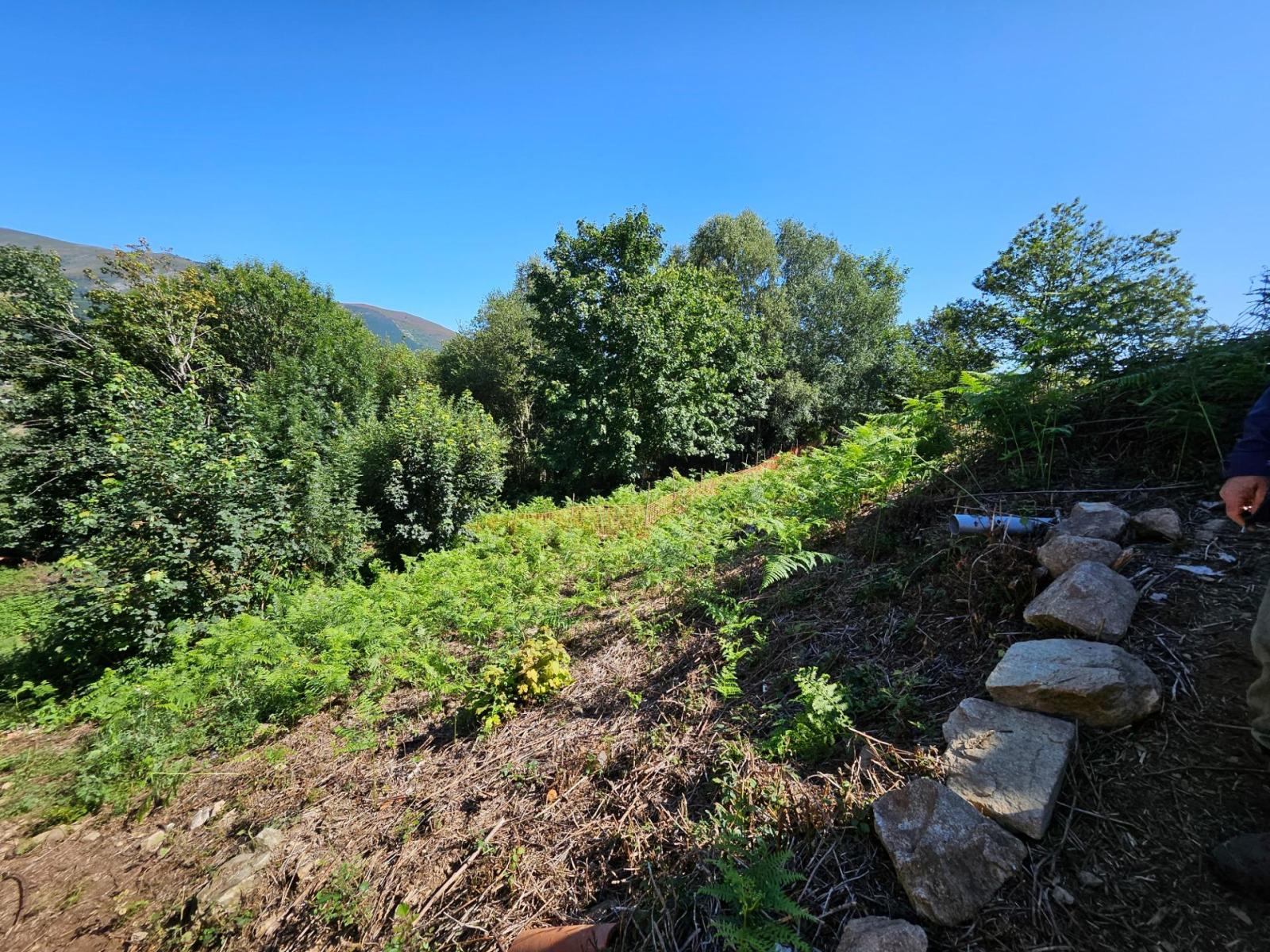 Finca en Venta en Allande