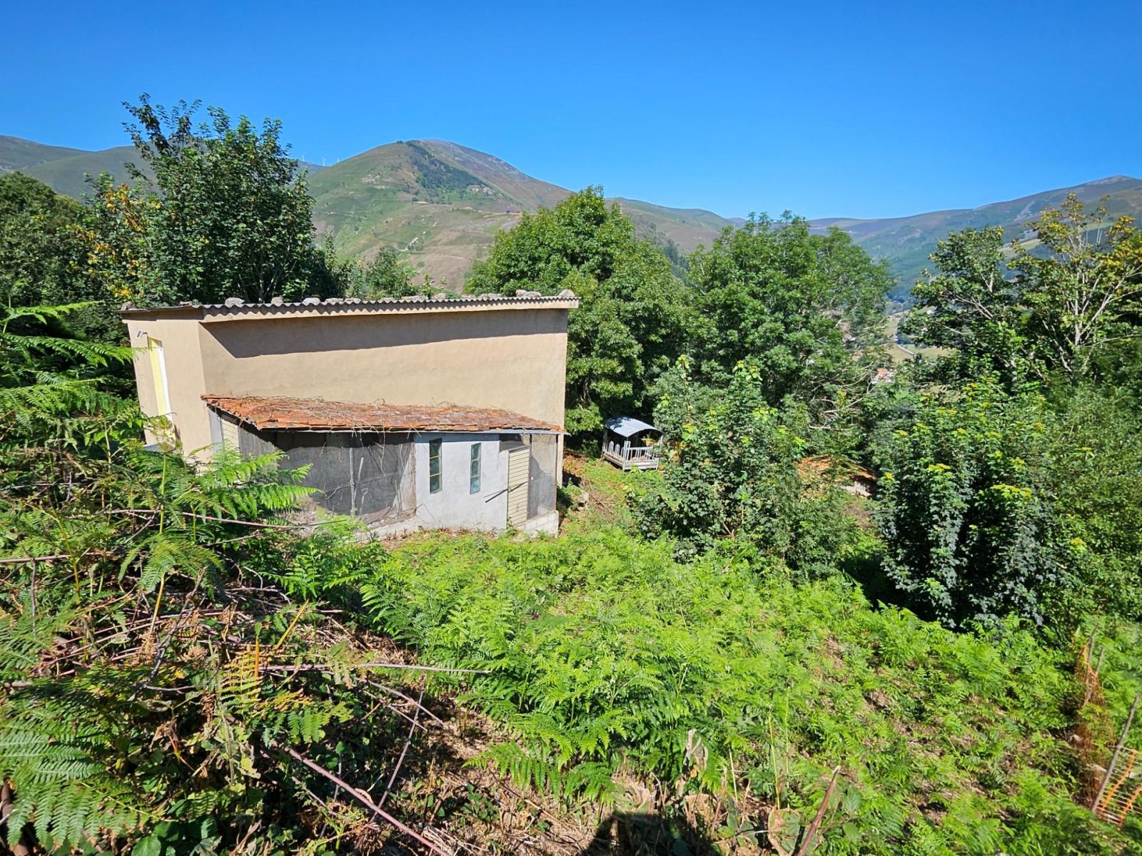Finca en Venta en Allande