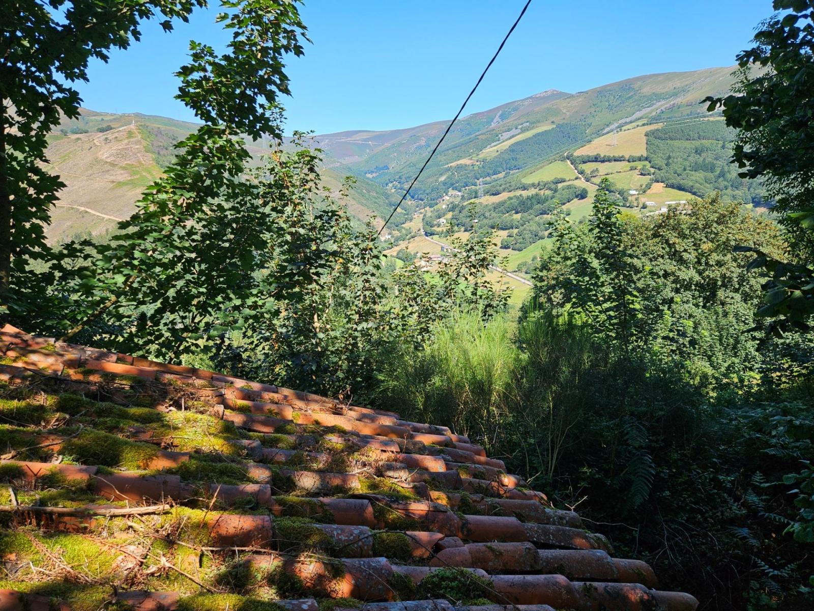 Finca en Venta en Allande