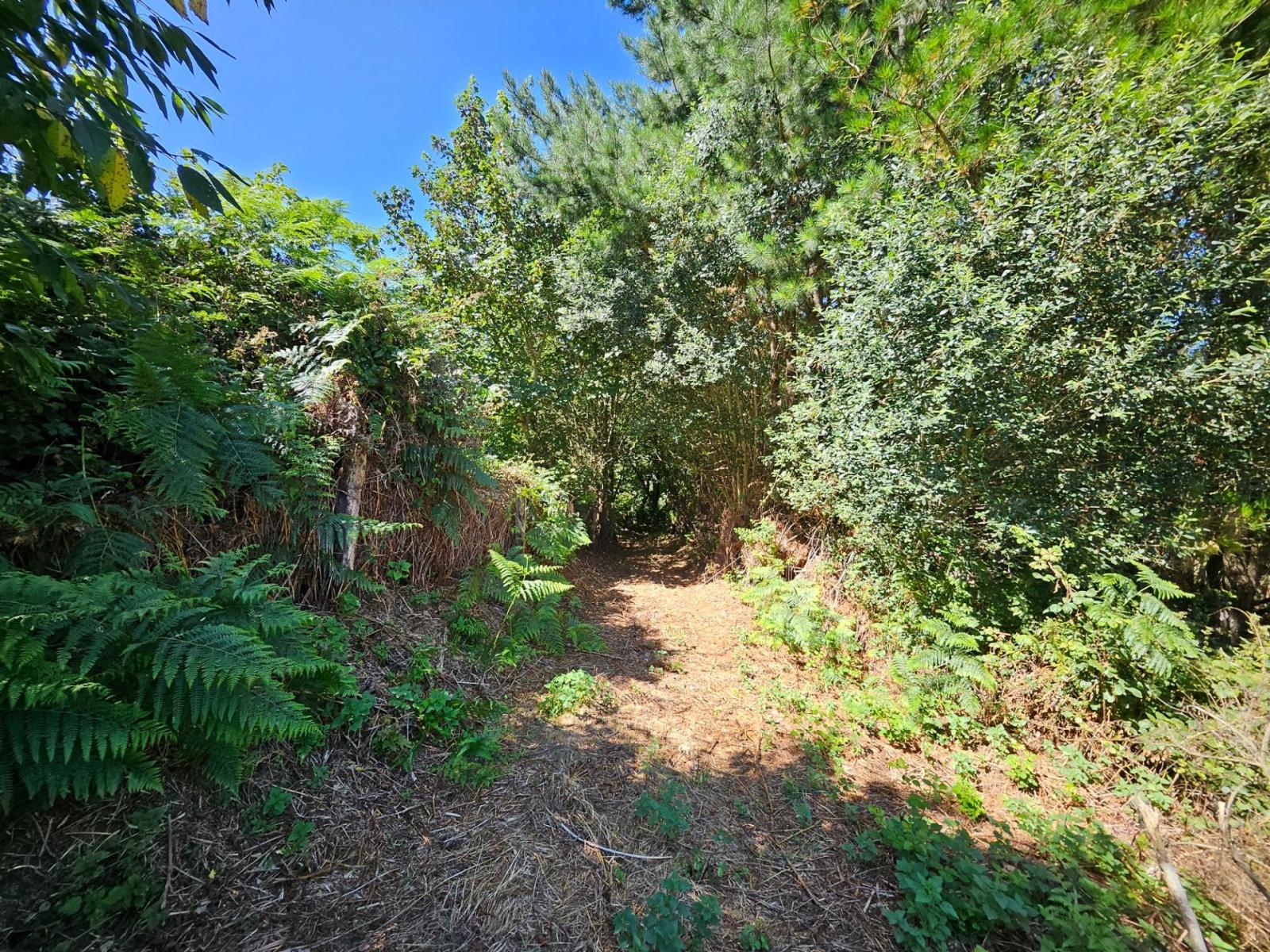 Finca en Venta en Allande