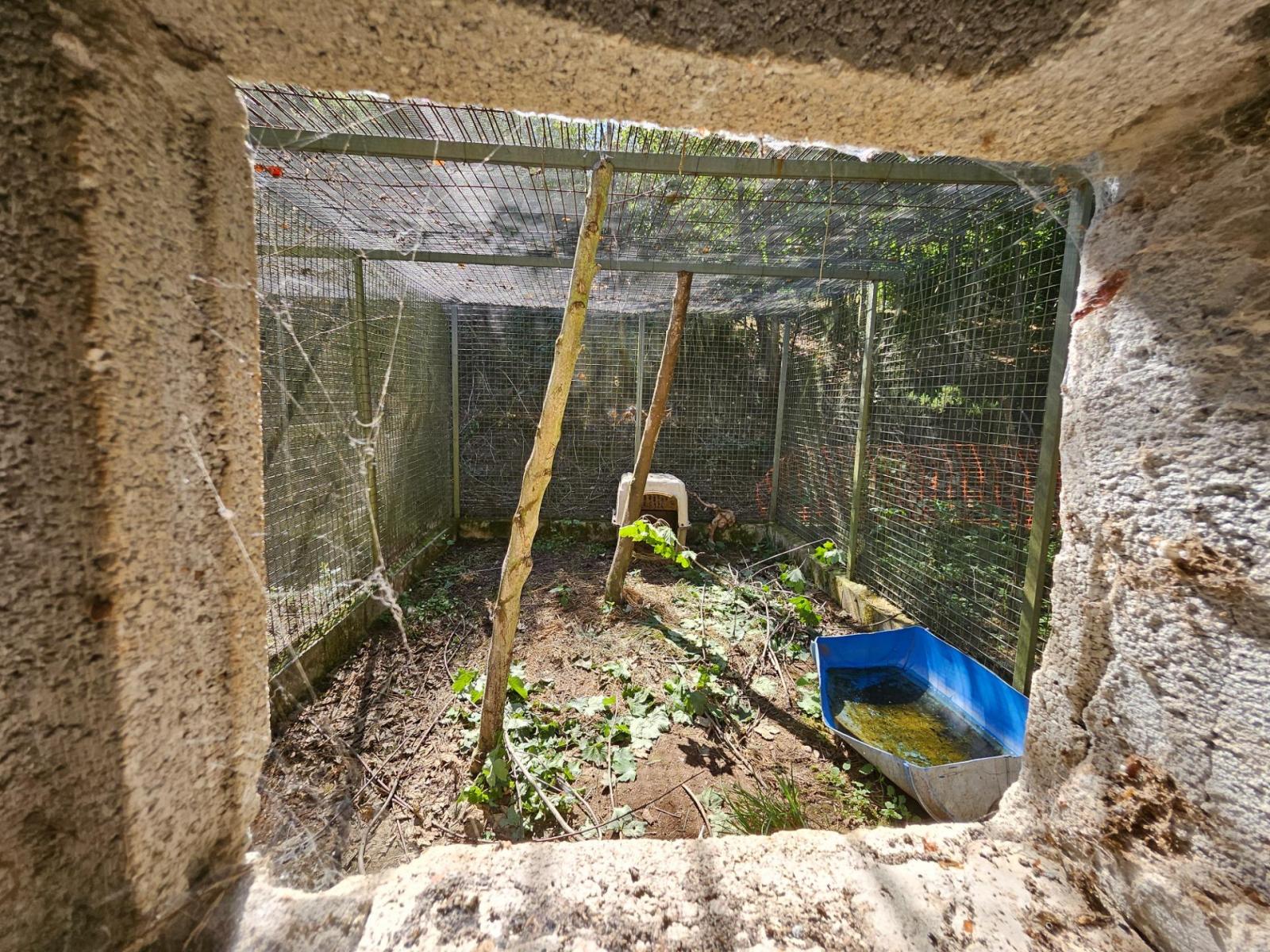 Finca en Venta en Allande
