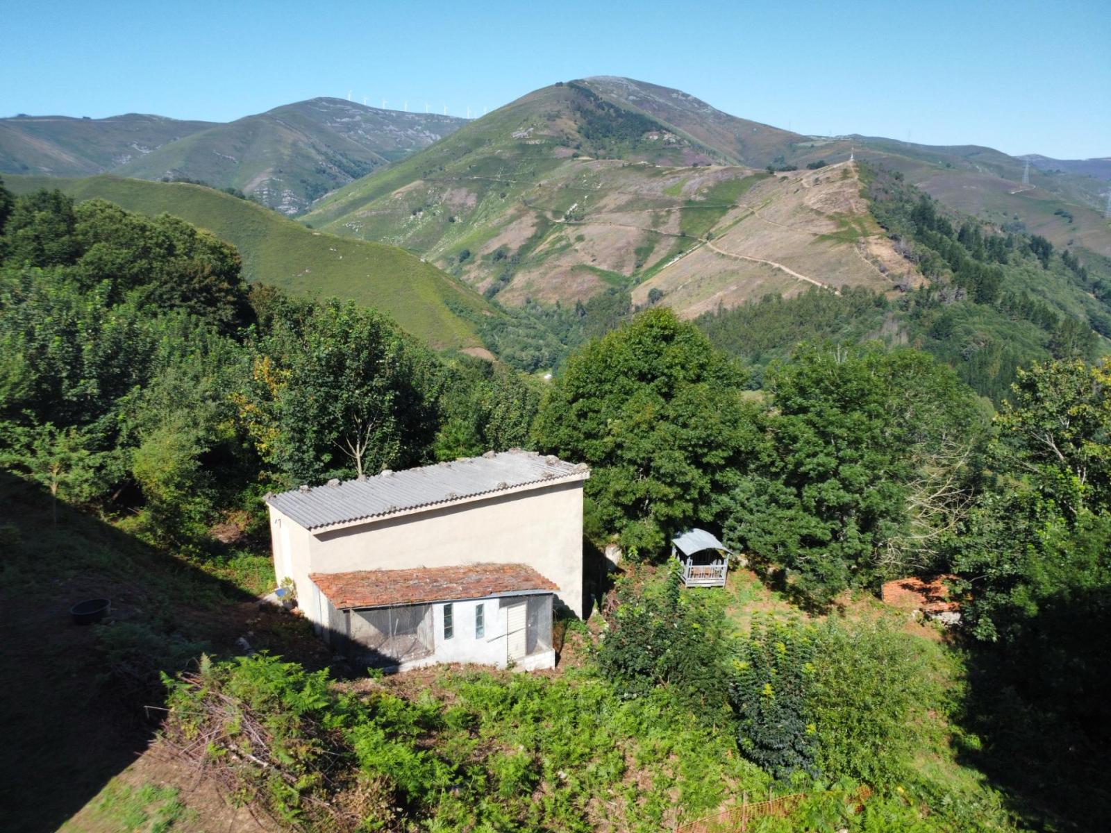 Finca en Venta en Allande