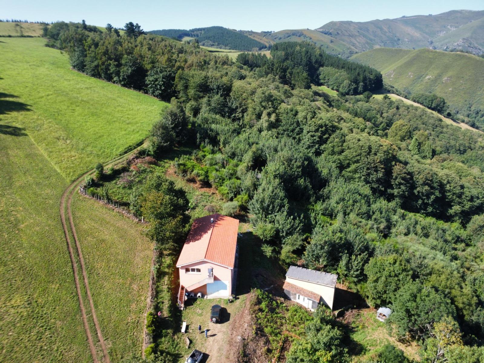 Finca en Venta en Allande
