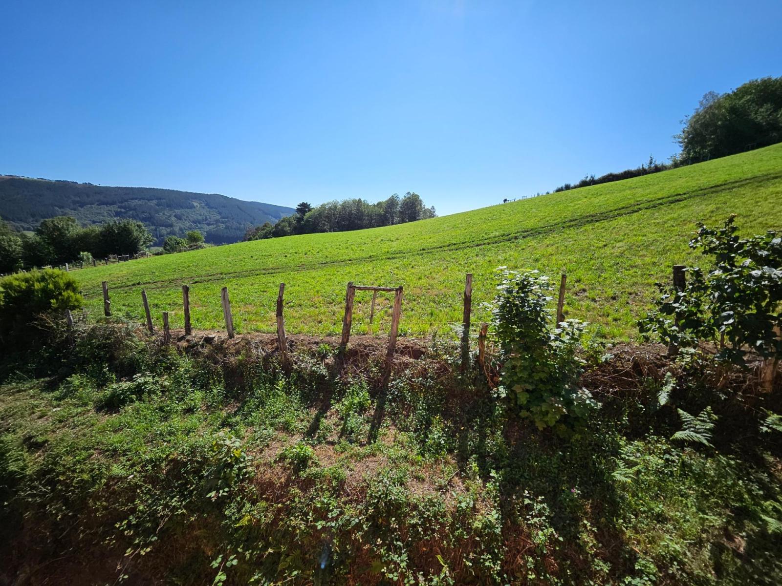 Finca en Venta en Allande