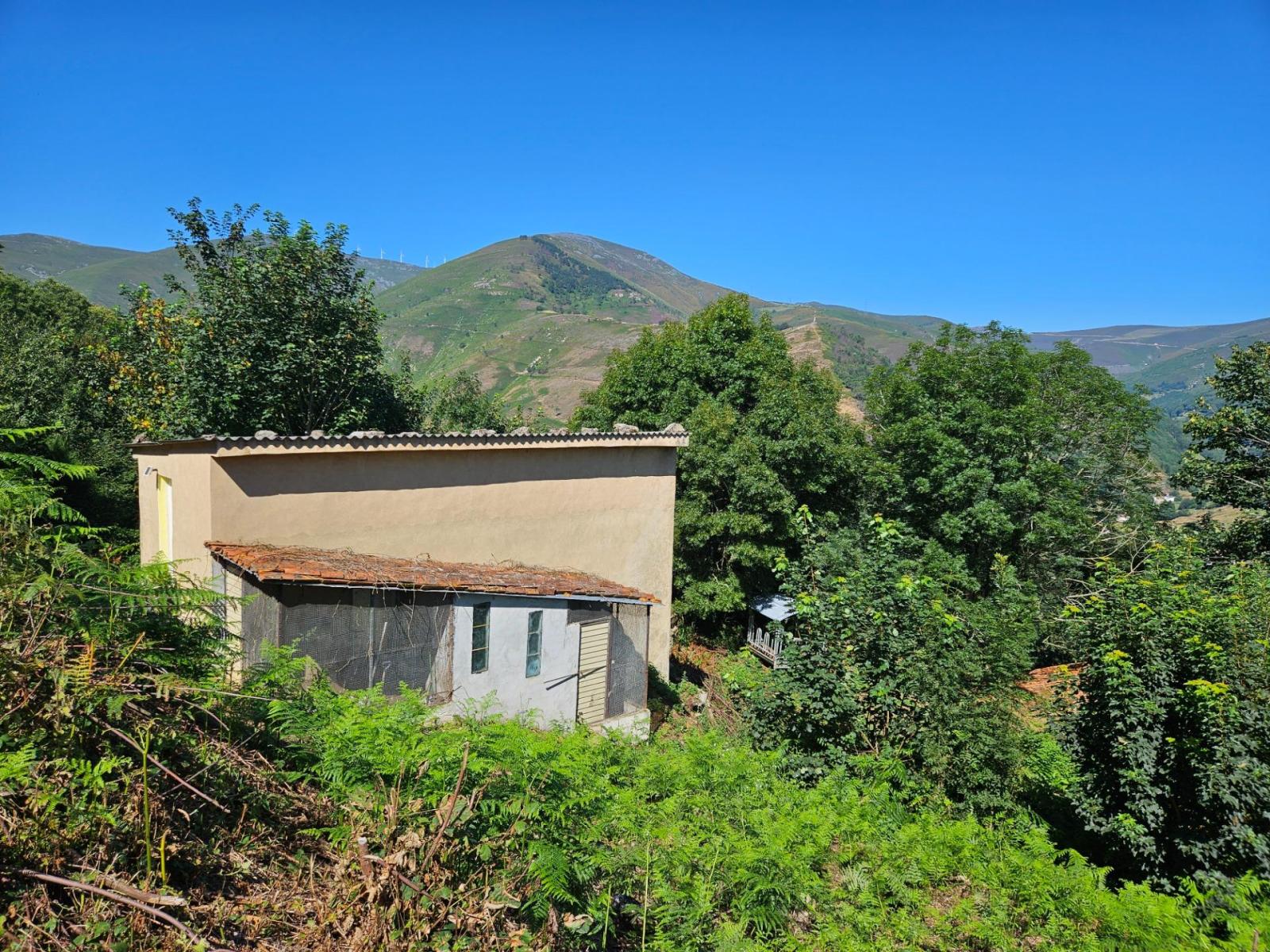 Finca en Venta en Allande