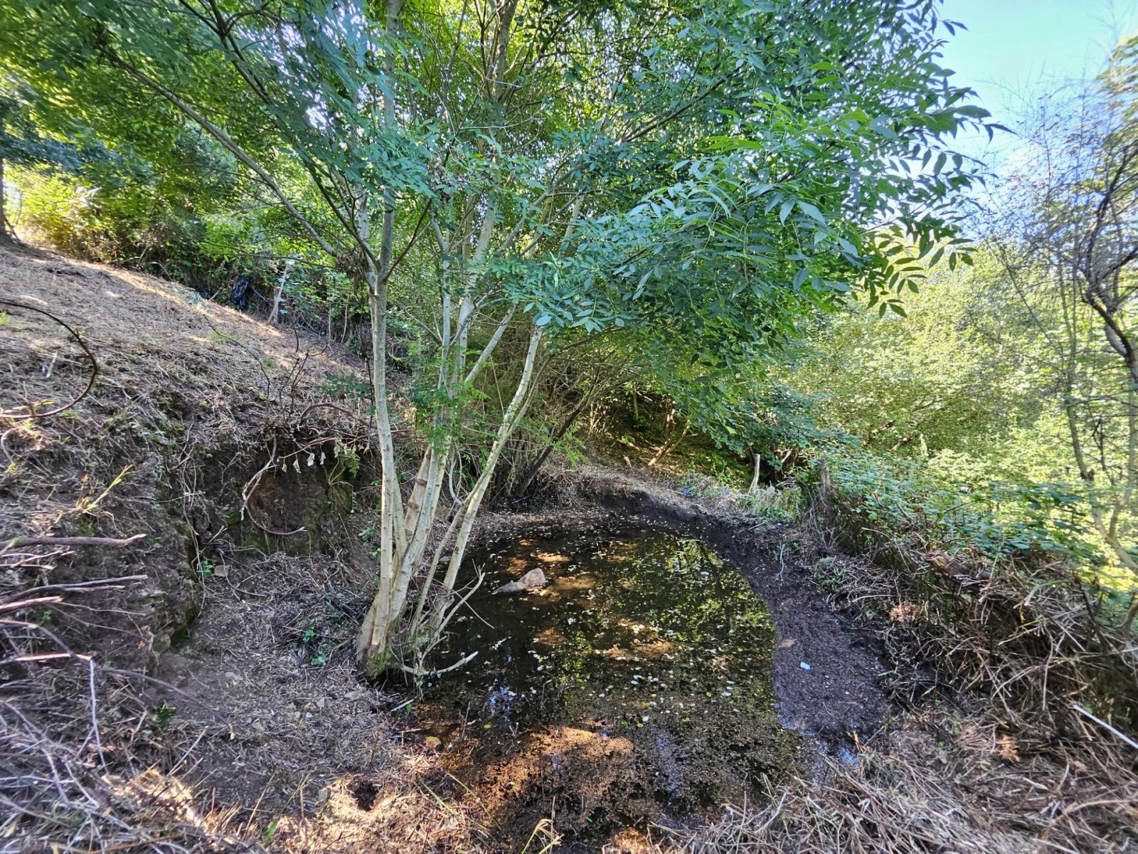 Finca en Venta en Allande