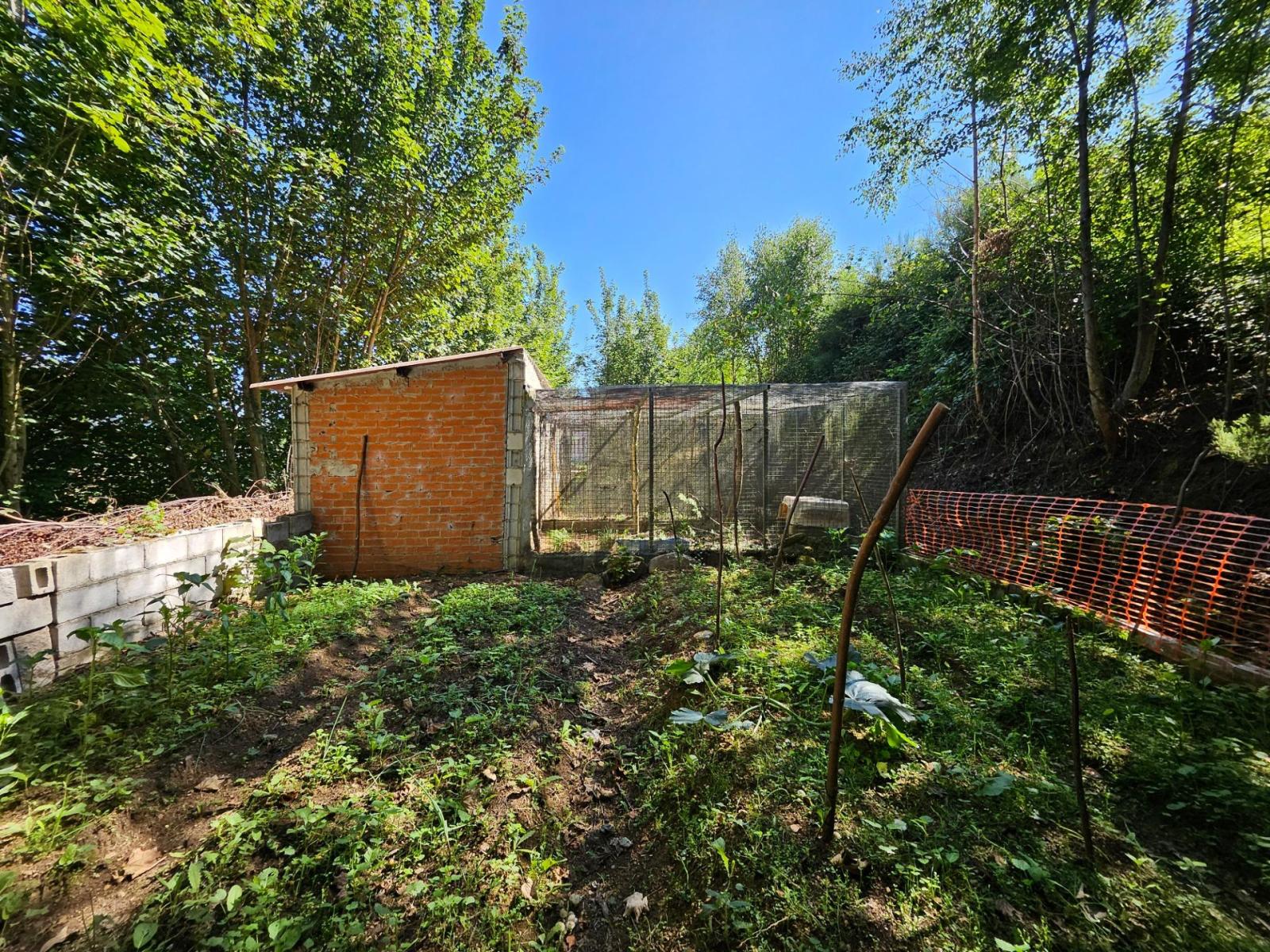 Finca en Venta en Allande