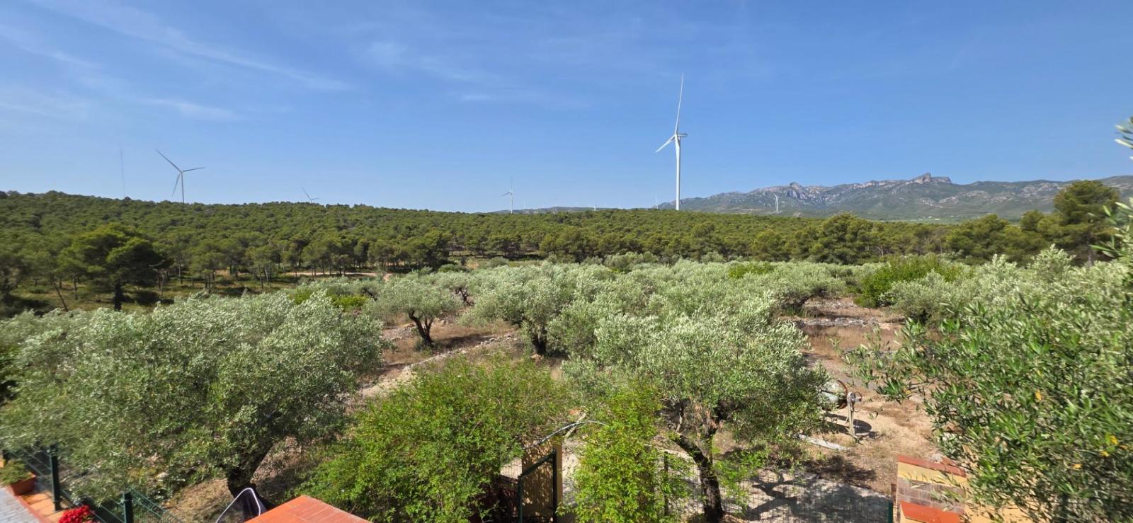 Finca en Venta en El Perelló