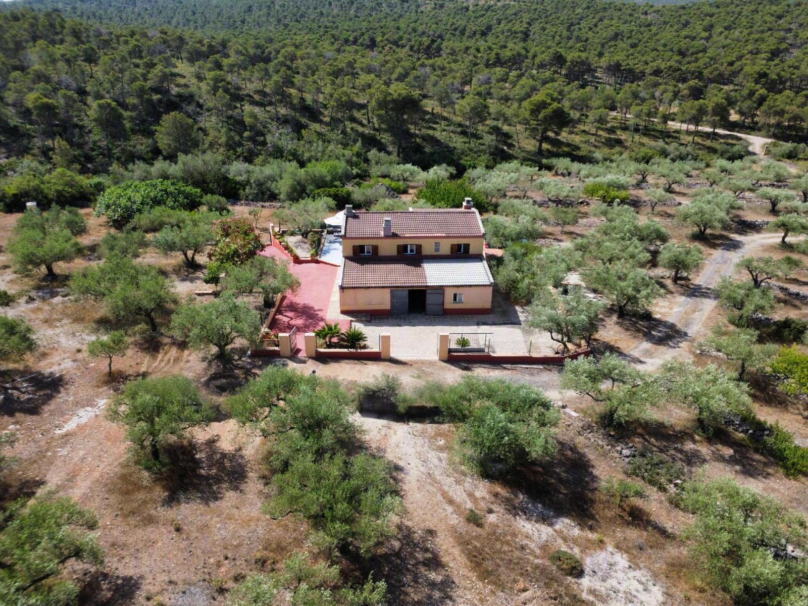 Finca en Venta en El Perelló