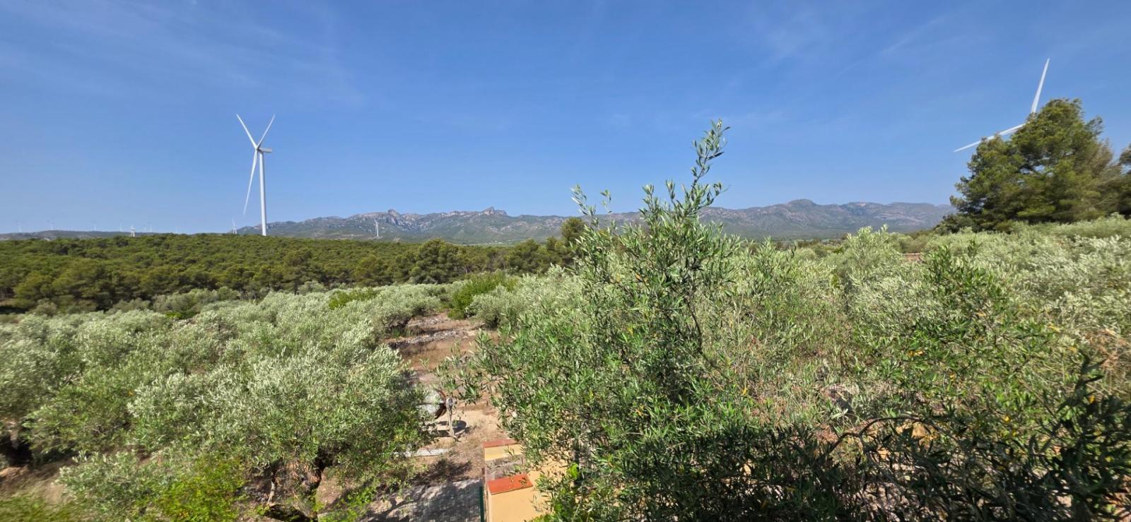 Finca en Venta en El Perelló