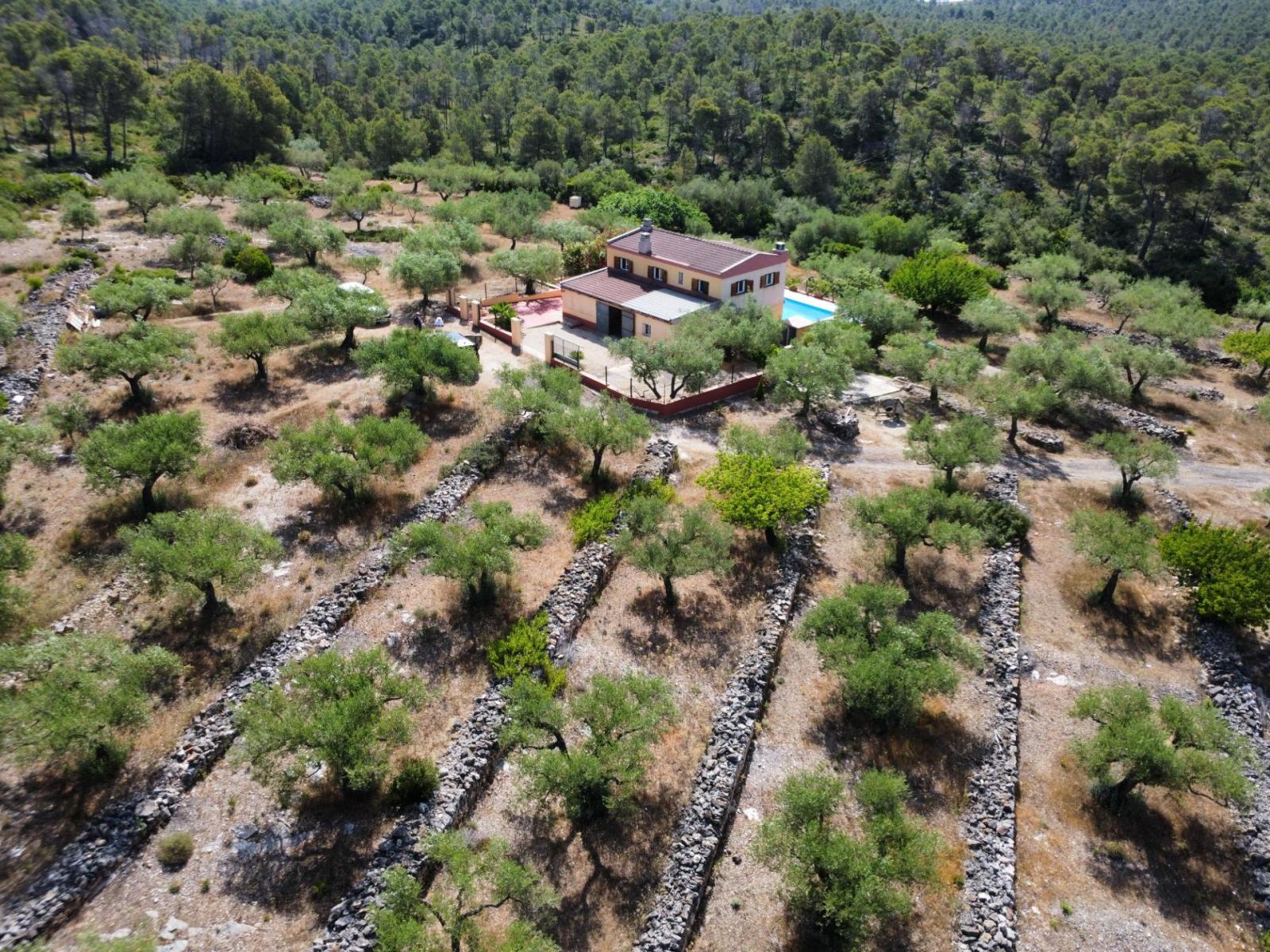 Finca en Venta en El Perelló