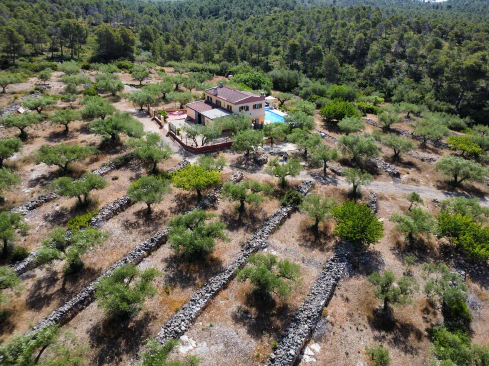 Finca en Venta en El Perelló