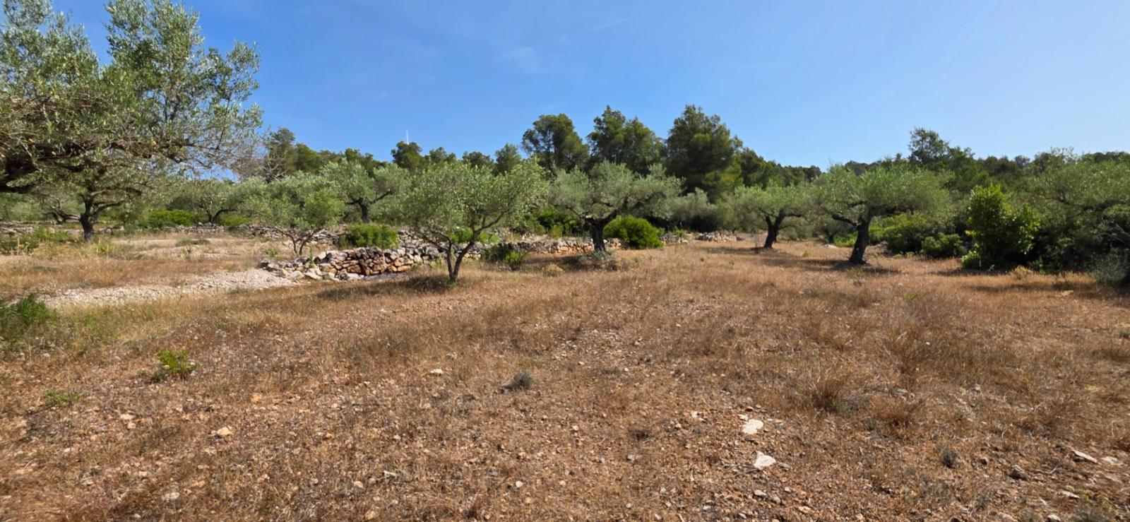 Finca en Venta en El Perelló