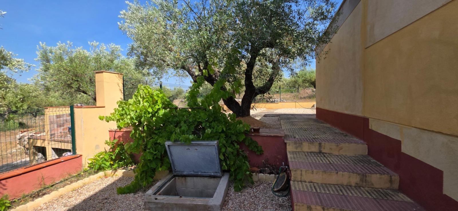 Finca en Venta en El Perelló