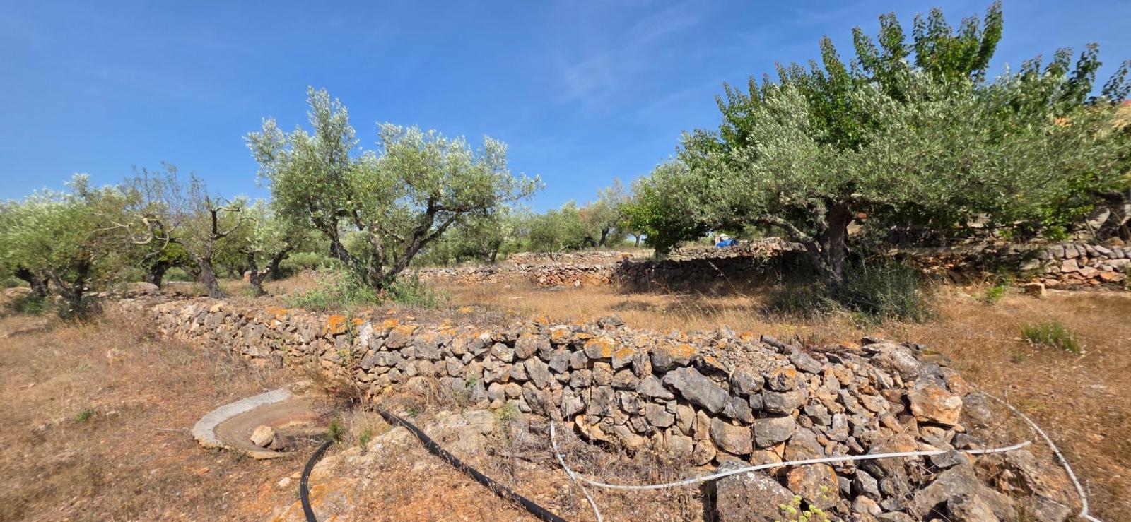 Finca en Venta en El Perelló