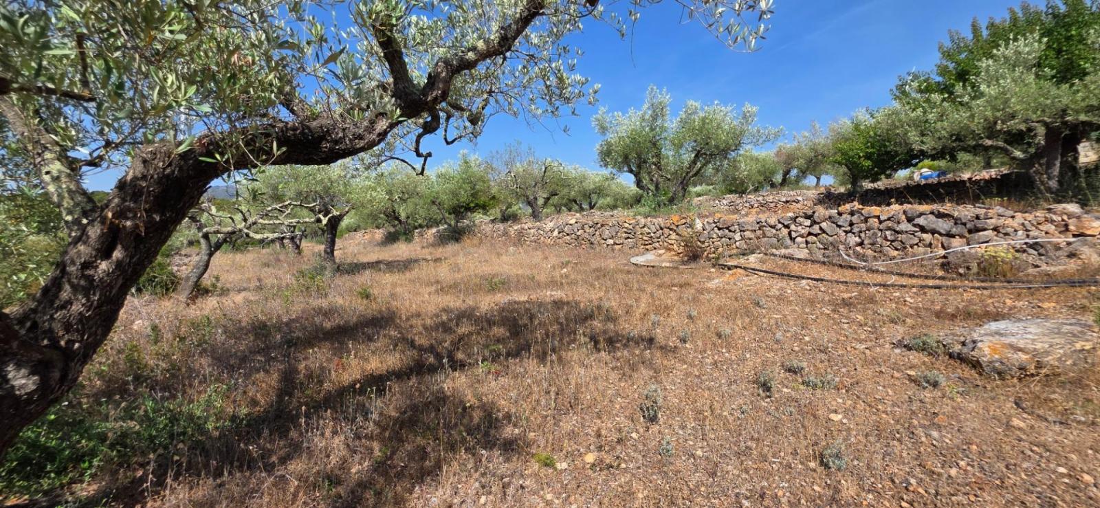 Finca en Venta en El Perelló