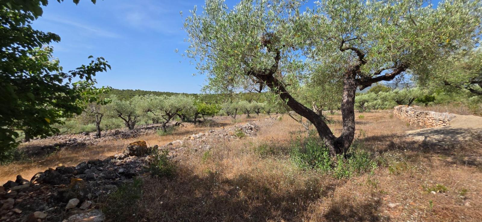 Finca en Venta en El Perelló