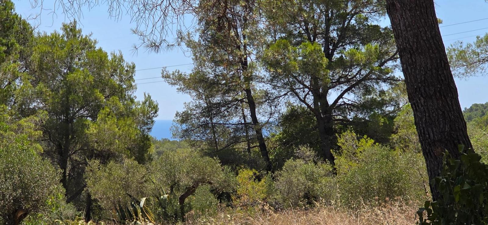 Finca en Venta en Cambrils