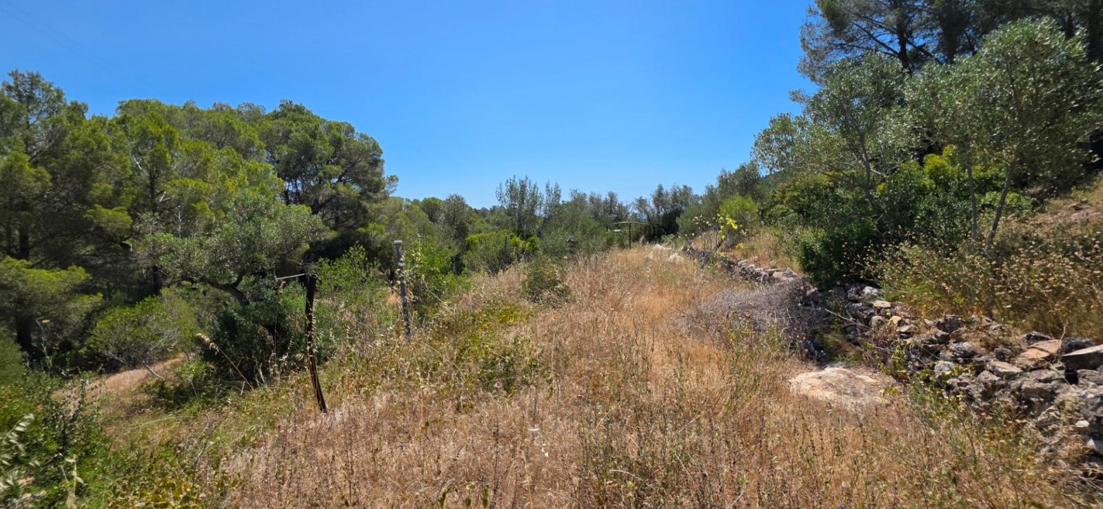 Finca en Venta en Vilanova d'Escornalbou
