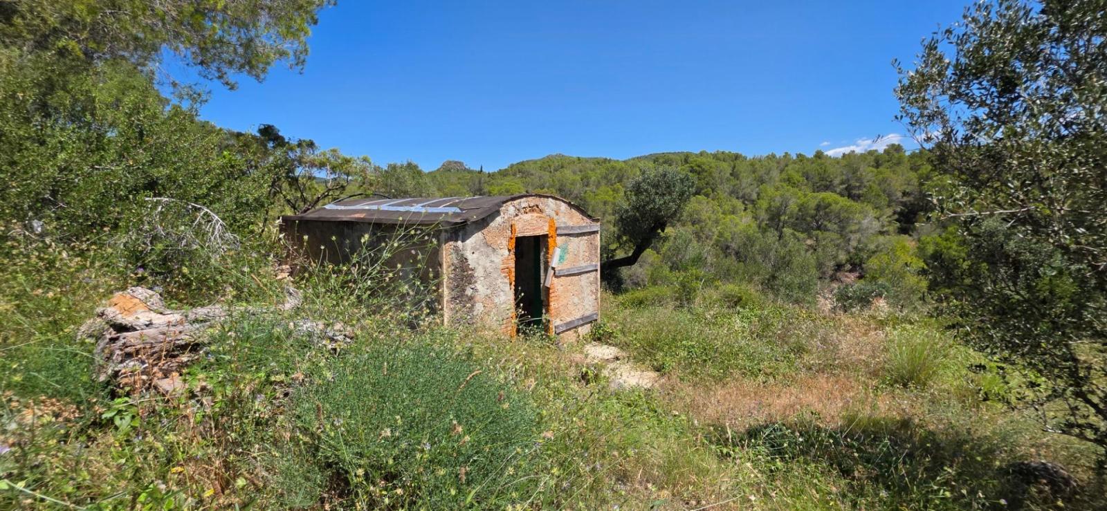 Finca en Venta en Mont-roig del Camp