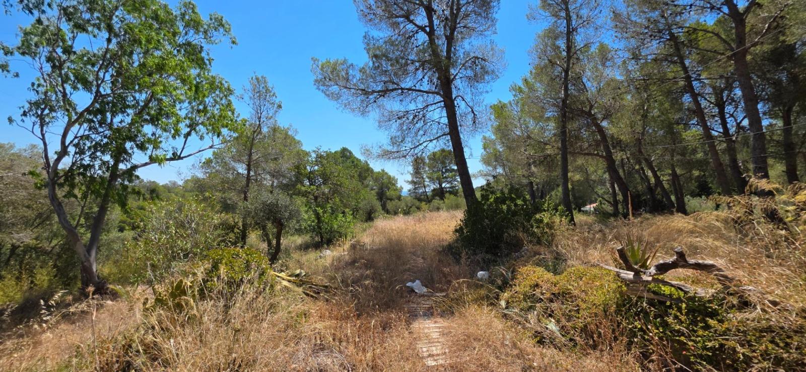 Finca en Venta en Mont-roig del Camp
