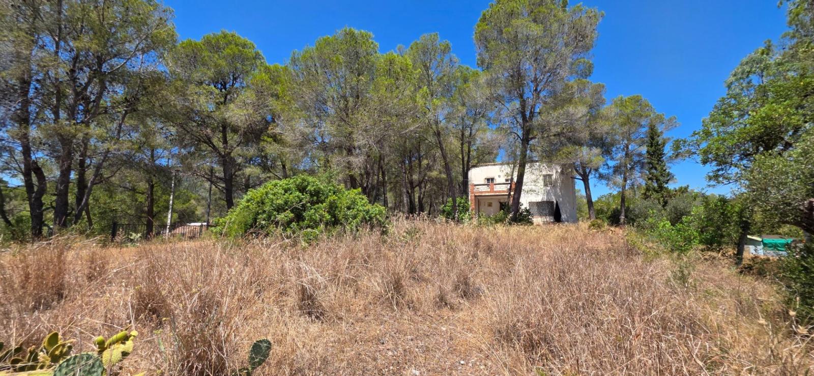 Finca en Venta en Mont-roig del Camp