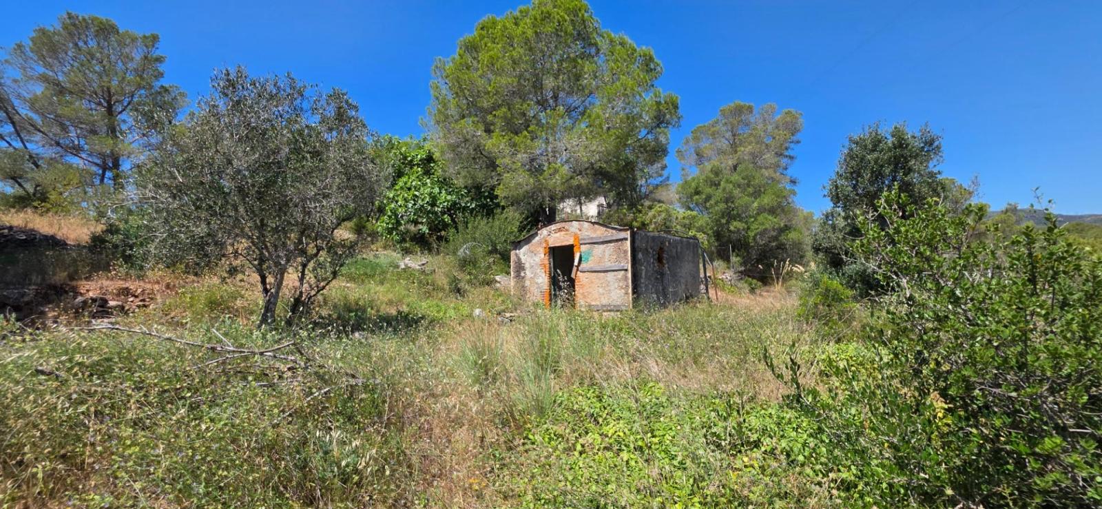 Finca en Venta en Mont-roig del Camp