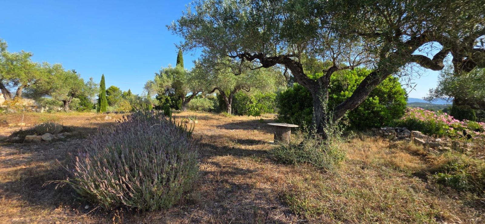 Finca en Venta en El Perelló