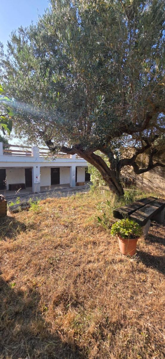 Finca en Venta en El Perelló