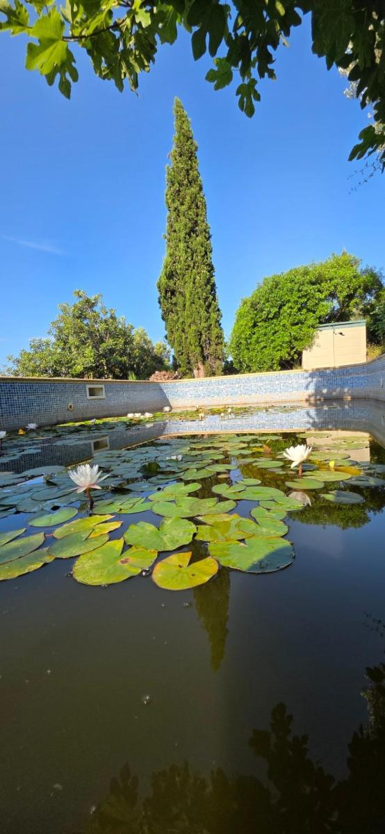 Finca en Venta en El Perelló