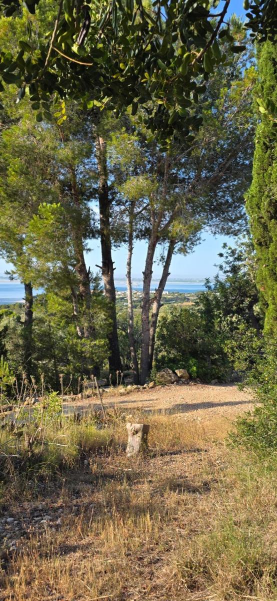 Finca en Venta en El Perelló