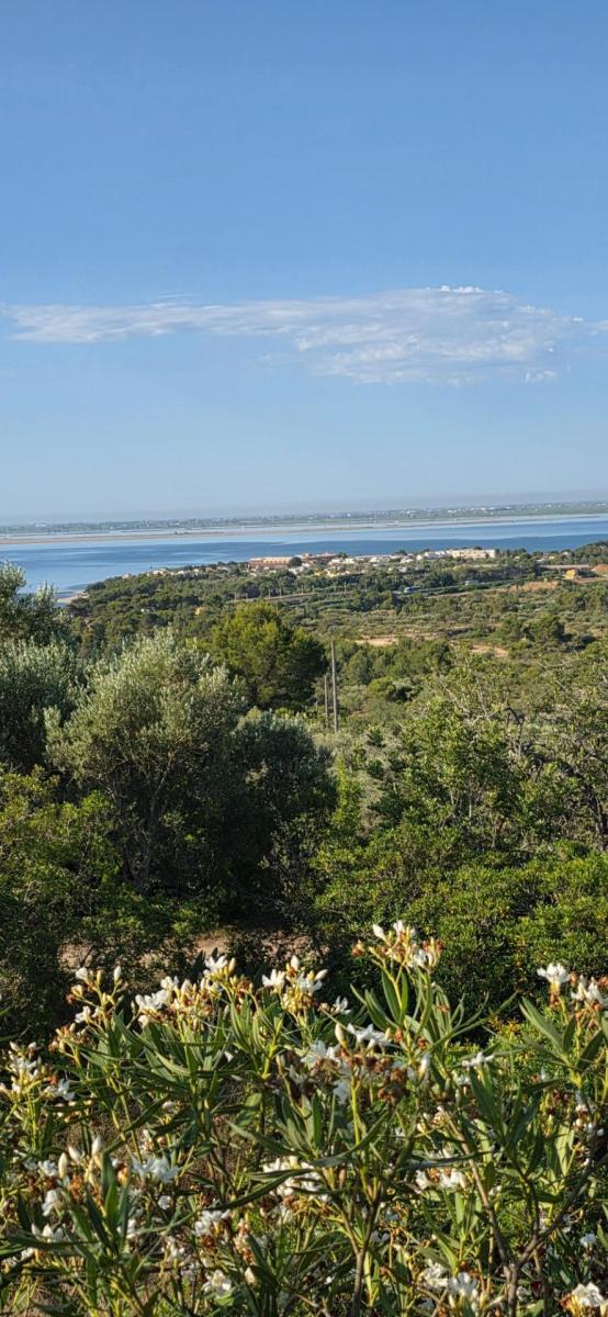 Finca en Venta en El Perelló