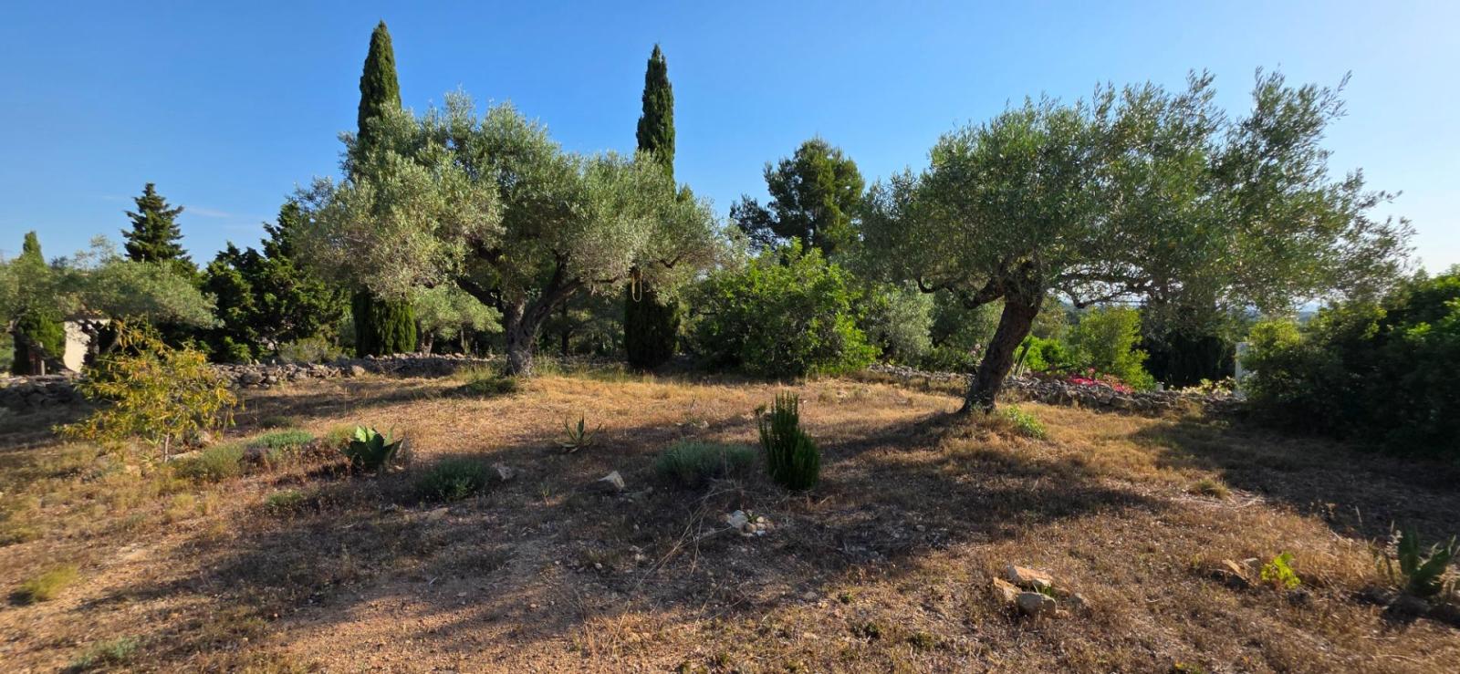 Finca en Venta en El Perelló