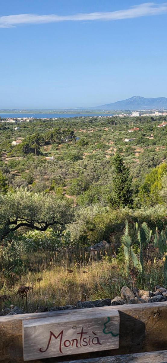 Finca en Venta en El Perelló