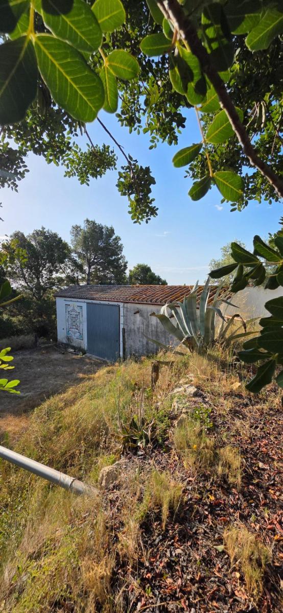 Finca en Venta en El Perelló