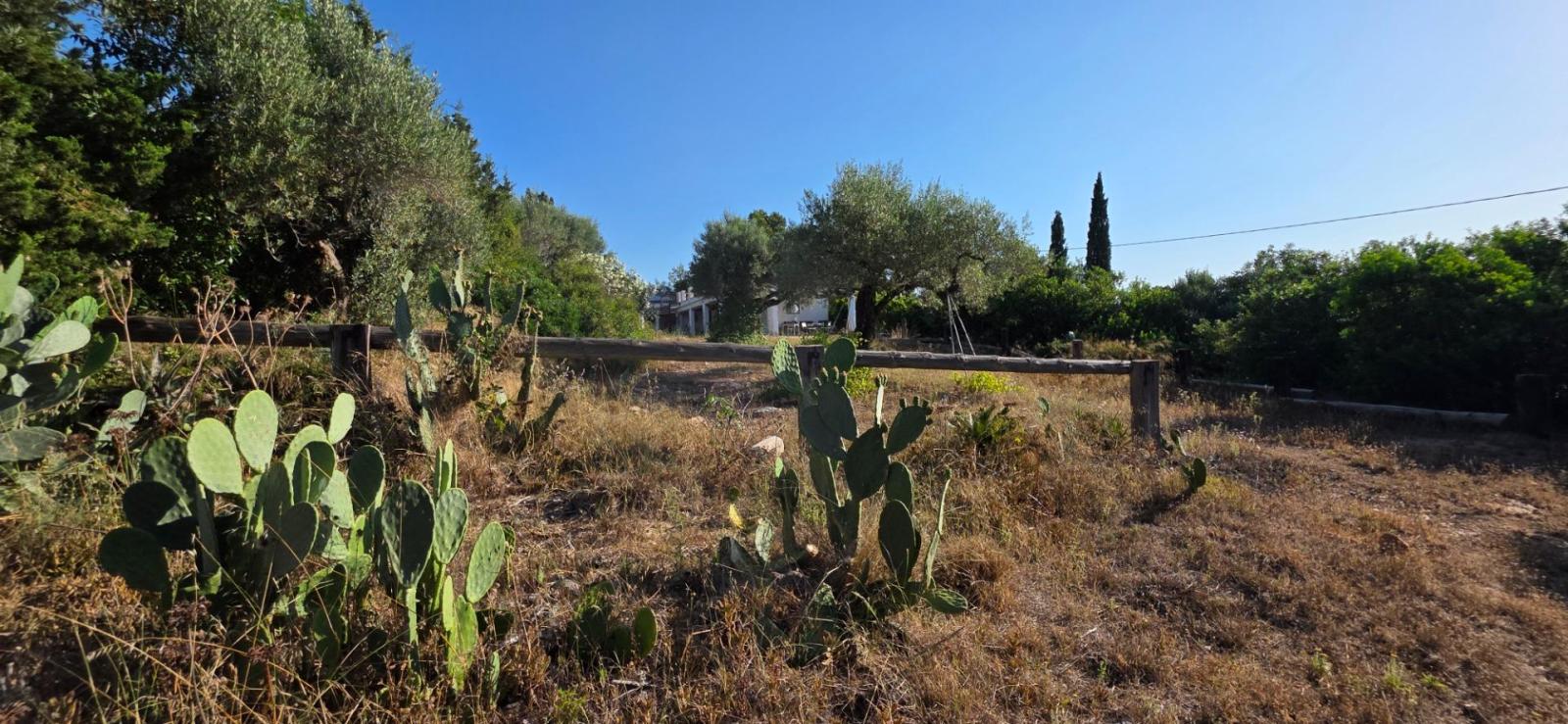 Finca en Venta en El Perelló