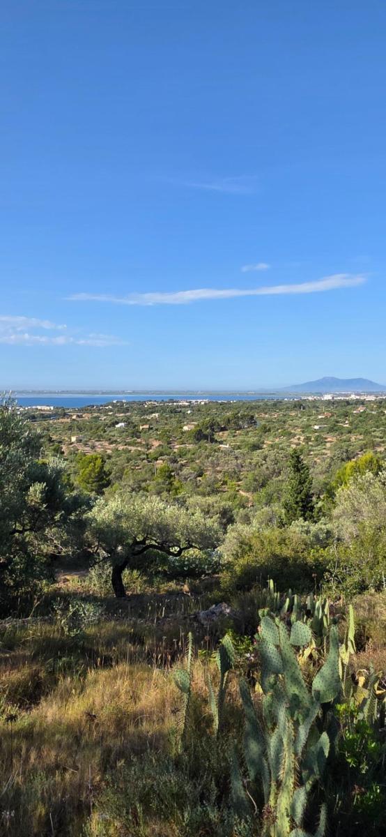 Finca en Venta en El Perelló