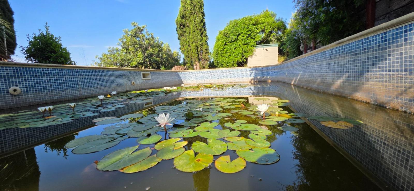 Finca en Venta en El Perelló