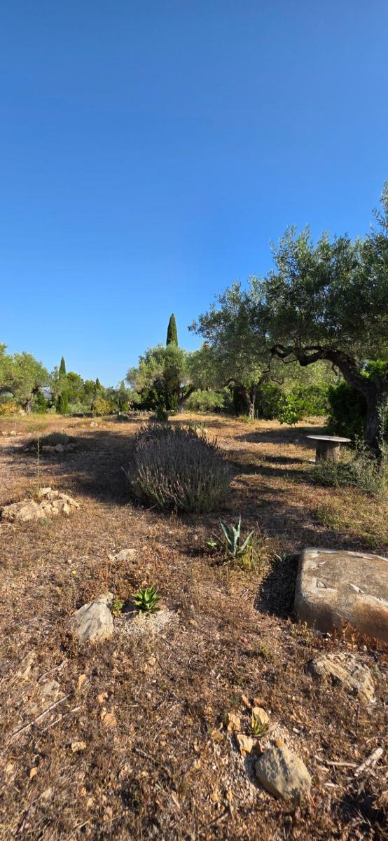 Finca en Venta en El Perelló