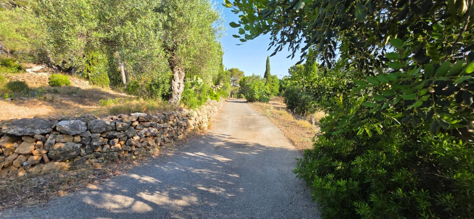 Finca en Venta en El Perelló