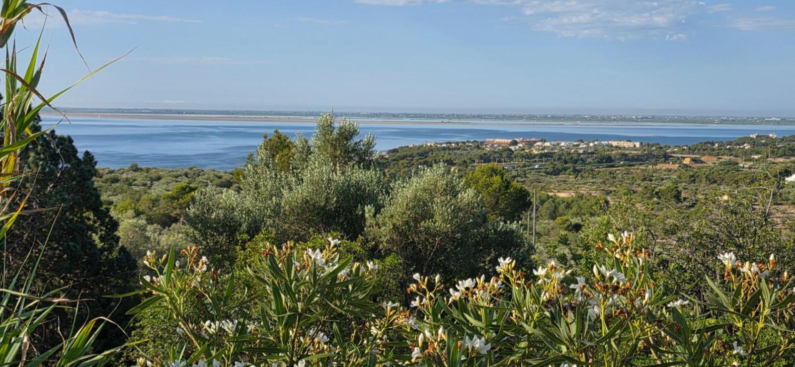 Finca en Venta en El Perelló