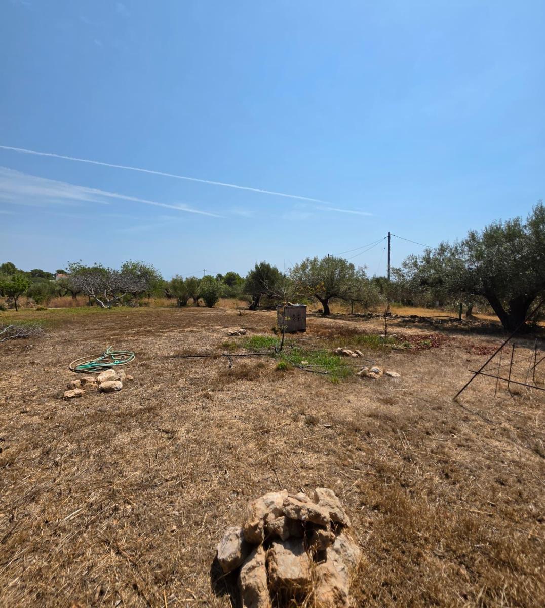 Finca en Venta en Vandellòs