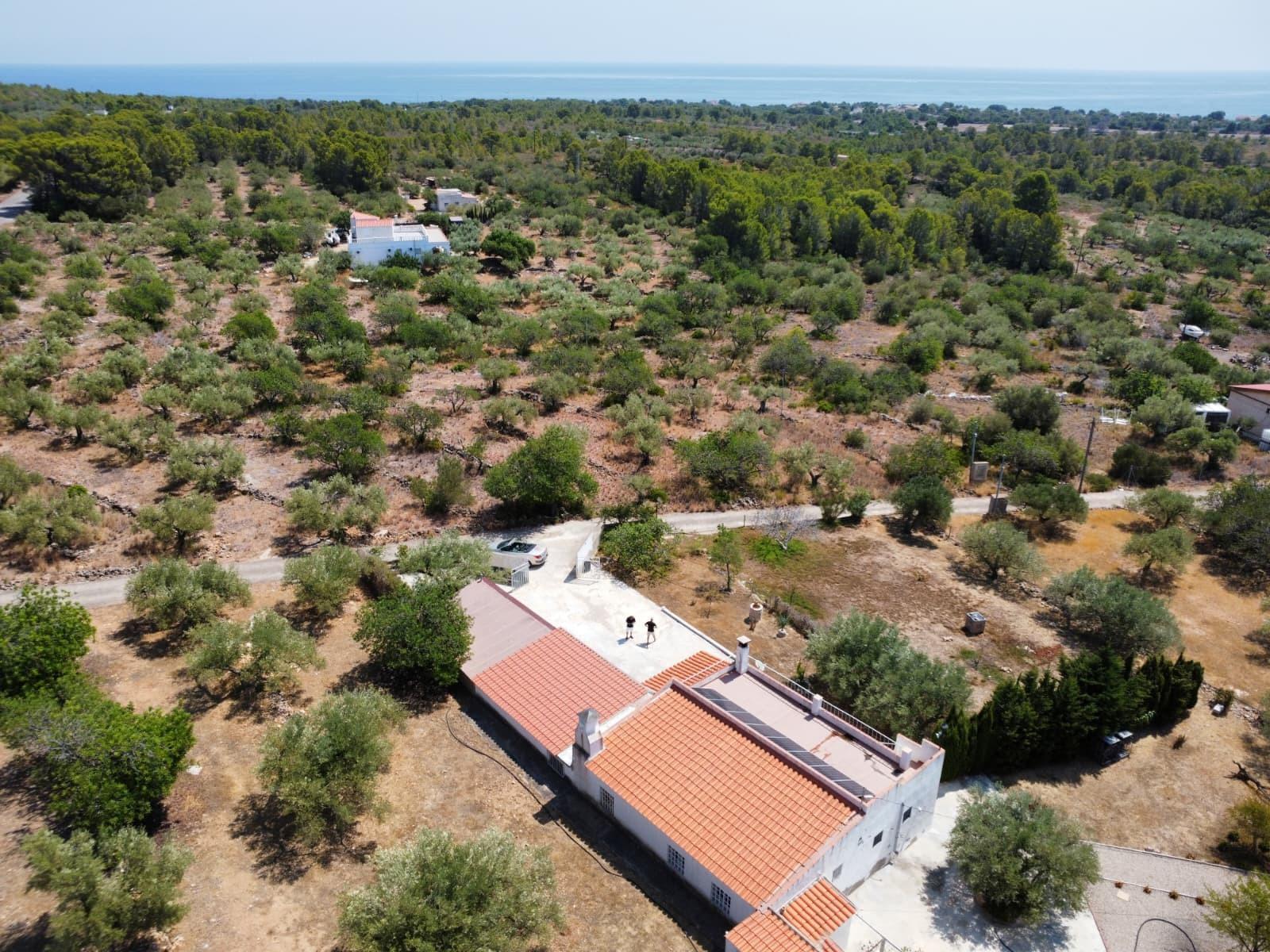 Finca en Venta en Vandellòs