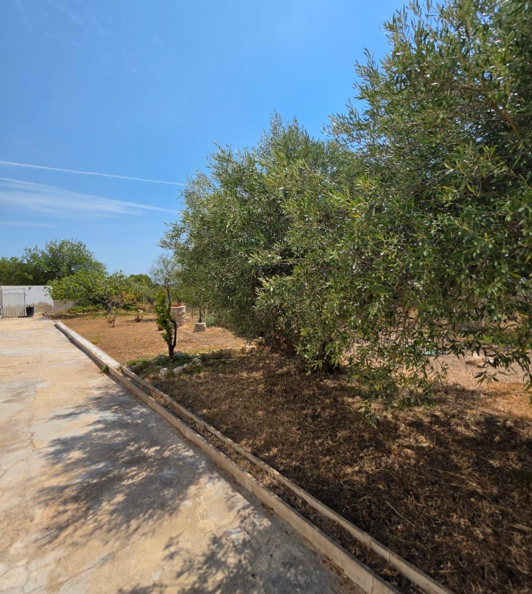 Finca en Venta en Vandellòs