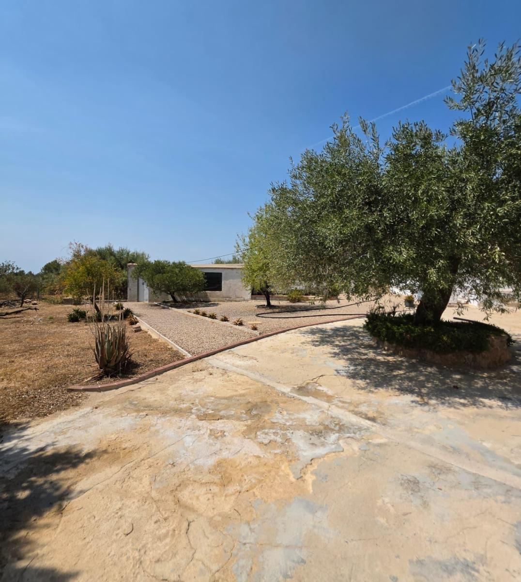 Finca en Venta en Vandellòs