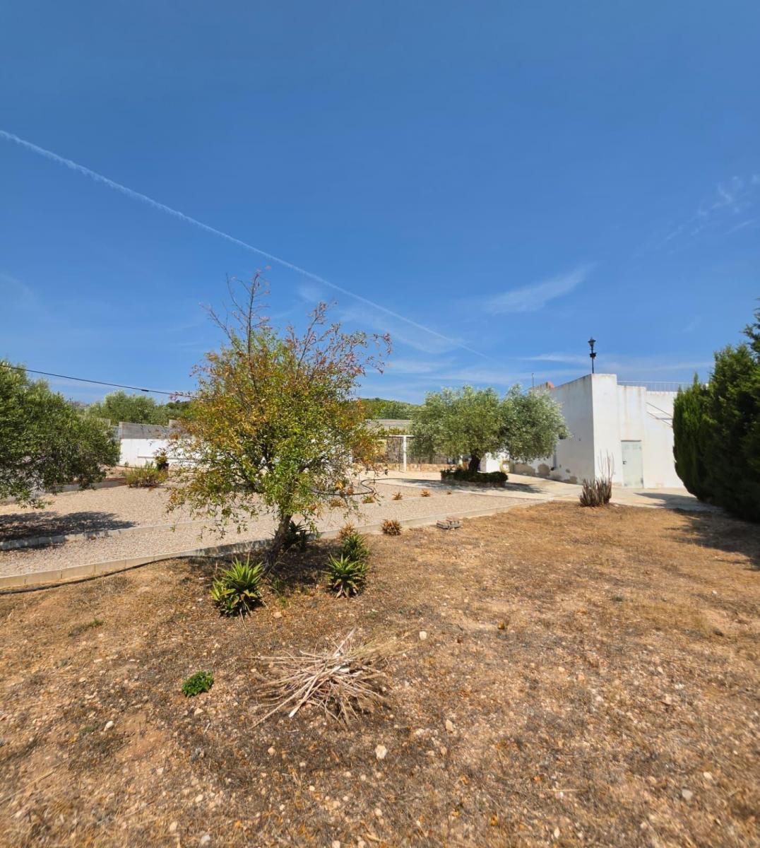 Finca en Venta en Vandellòs